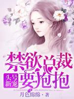頭號新寵：禁欲總裁，要抱抱