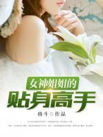 女神姐姐的貼身高手