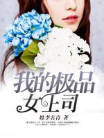 我的極品女上司