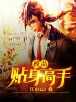 極品貼身高手