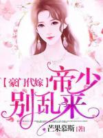 豪門代嫁，帝少別亂來