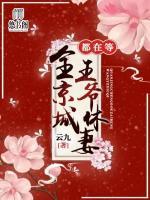全京城都在等王爺休妻
