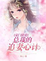 豪門獵愛，總裁的追妻心計(jì)