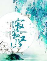 寂寂江山情歸處