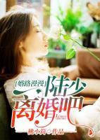 婚路漫漫：陸少離婚吧！