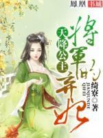 天降公主，將軍的棄妃