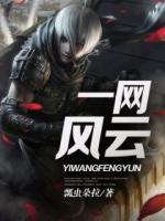 一網(wǎng)風(fēng)云