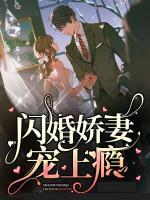 閃婚嬌妻寵上癮