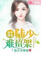 強勢婚寵：陸少，難招架