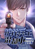 護花兵王混都市