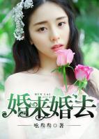 婚來婚去
