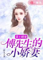 掌上婚寵：傅先生的小嬌妻