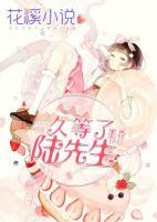 久等了陸先生