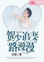 賀少追妻路漫漫