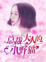 總裁大人的小野貓