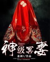 神級冥妻