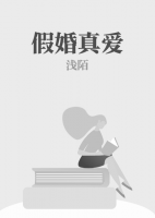 假婚真愛