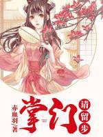 掌門(mén)，請(qǐng)留步！