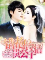 錯抱冷情貴公子