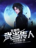 武當(dāng)傳人在都市