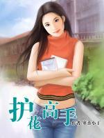 護(hù)花高手