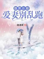 腹黑總裁：愛妻別亂跑