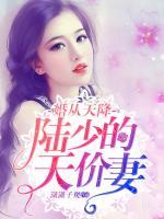 婚從天降：陸少的天價(jià)妻