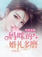 天才寶貝：媽咪的婚禮多磨