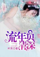 流年負情深