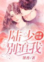 嬌妻似蜜：陸少，別追我