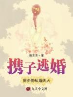 攜子逃婚，厲少的私婚夫人