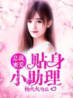 總裁蜜愛：貼身小助理