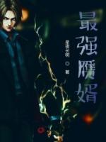 最強(qiáng)贗婿