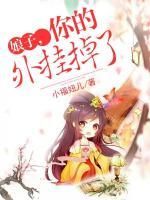 娘子，你的外掛掉了