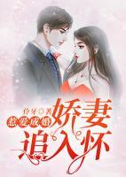 惹愛(ài)成婚：嬌妻追入懷