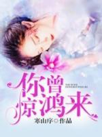 你若驚鴻來