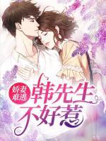 嬌妻難逃：韓先生不好惹
