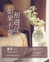 如果不曾相遇過(guò)