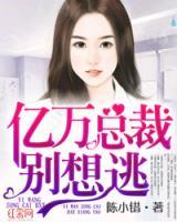 總裁別想逃
