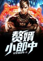 贅婿小郎中