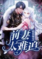 婚情纏愛：前妻太難追