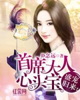 盛寵歸來(lái)：首席大人心頭寶