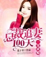 總裁追妻100天