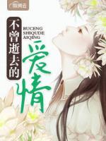 不曾逝去的愛(ài)情