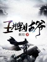 王牌姑爺