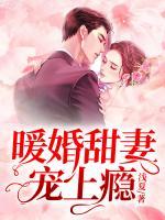 暖婚甜妻寵上癮