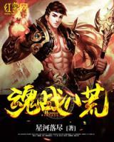 魂戰(zhàn)八荒