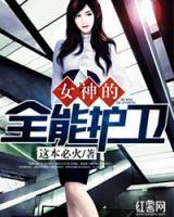 女神的全能護衛(wèi)