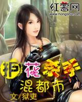 護(hù)花殺手混都市