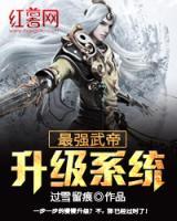 最強(qiáng)武帝升級系統(tǒng)